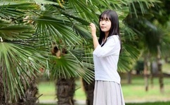 爱情岛线路推荐线路二唯品会APP